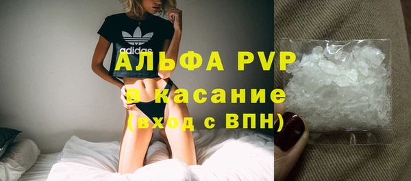 шишки Белоозёрский
