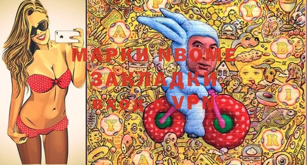 шишки Белоозёрский