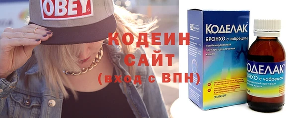 шишки Белоозёрский