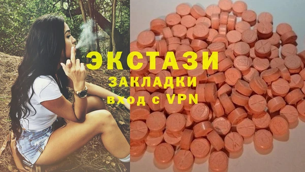 шишки Белоозёрский