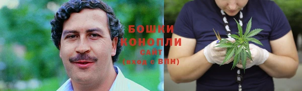 шишки Белоозёрский