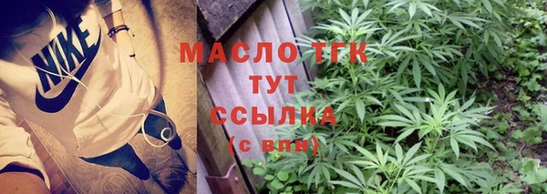 шишки Белоозёрский