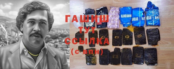 a pvp Бородино