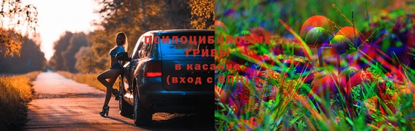 мяу мяу мука Белокуриха