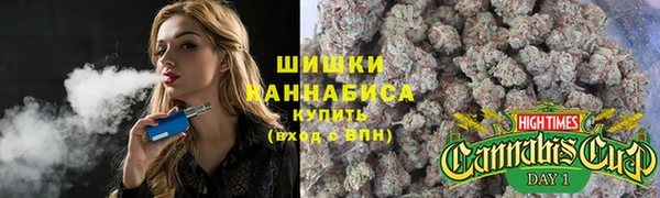 мяу мяу мука Белокуриха