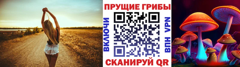 Псилоцибиновые грибы Cubensis  Гремячинск 